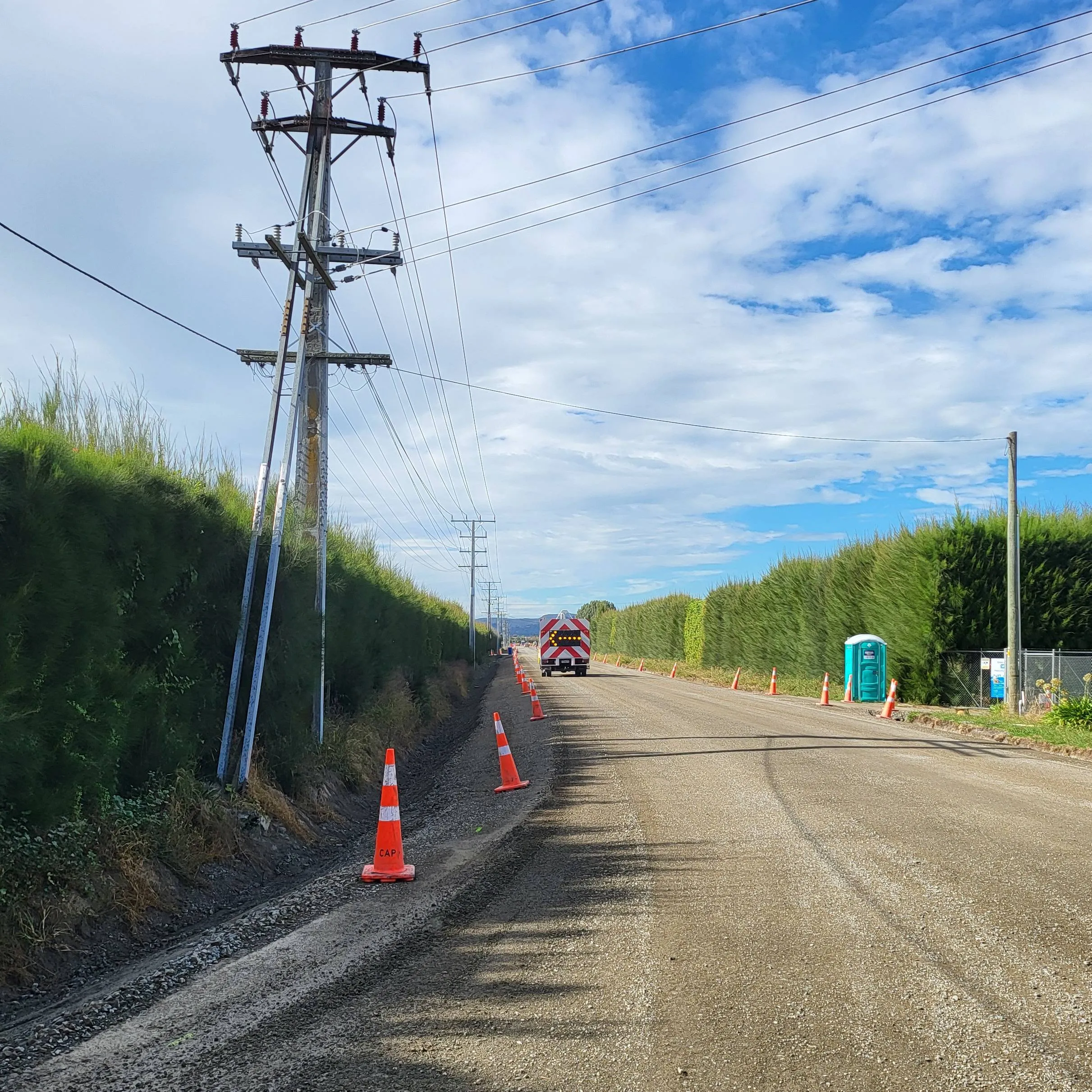 Coned rural road running alongside a shelter belt in Hawke's Bay